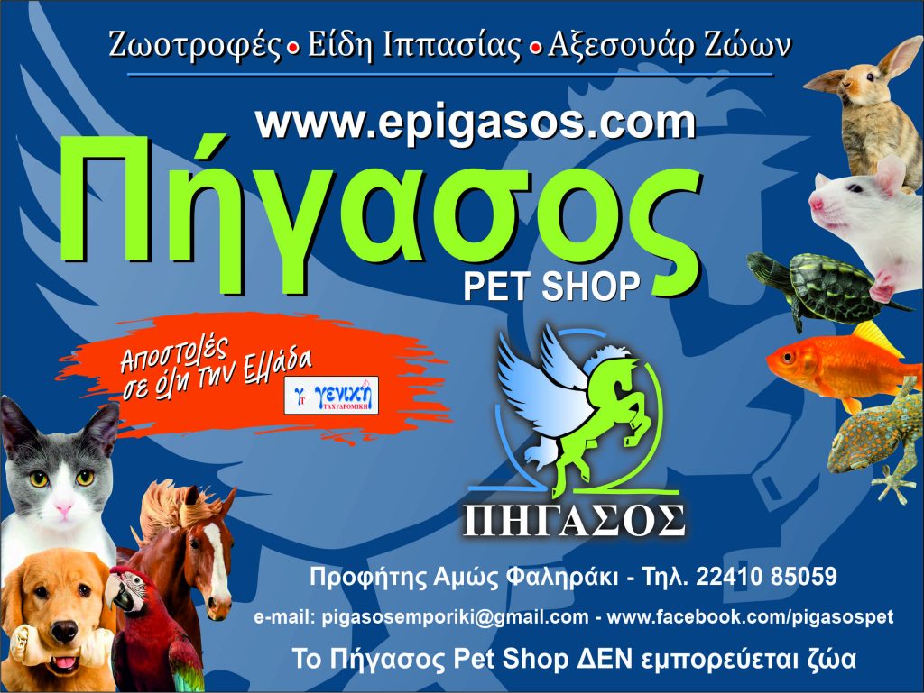 Αυτή η εικόνα δεν έχει ιδιότητα alt. Το όνομα του αρχείου είναι pigasos-200X150-1024x769.jpg
